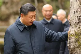 习语｜“绿水青山就是金山银山”图片