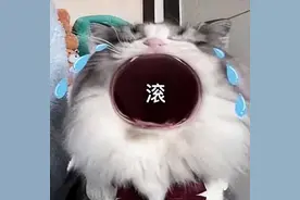 适合情侣间发的表情包，打情骂俏不可少，欢迎收藏图片