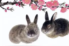 越老越有魅力的六大生肖女，魅力不減，桃花更旺！图片