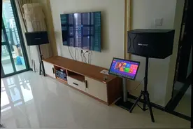 怎么样的才算好的家用音箱？图片