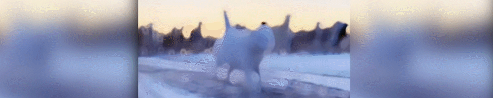 中国须做最坏打算：若俄罗斯解体，这块700万的土地，绝不能再丢图片