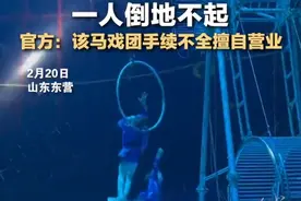 马戏团2女孩高空跌落1人倒地不起，负责人：都没受伤，她们七八岁，练习杂技多年，官方：马戏团手续不全图片