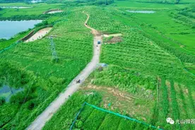 【小时候的味道】光山这里的果蔬让你“甜”到忘记夏日炎炎~图片