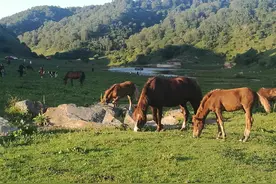 孙子辈怎么称呼更合理图片