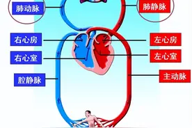 疫情，夫妻久别重逢，不到3小时俄罗斯妻子即晕倒并发生脑死亡图片