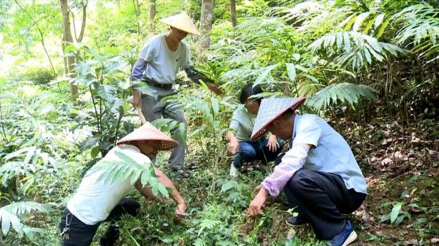 点进来,get一份属于肇庆的浪漫!
