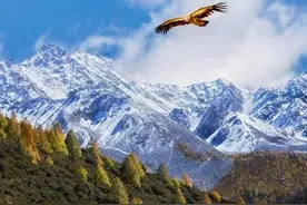 打得一拳开，免得百拳来图片