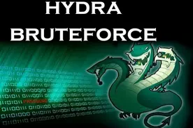 密码暴力破解工具：hydra图片