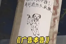 走丢的狗子碰瓷消防队后，蓝朋友靠灵魂画风帮它找到了主人！图片