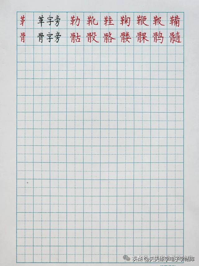 46个左偏旁（全），总该能写好字了吧？