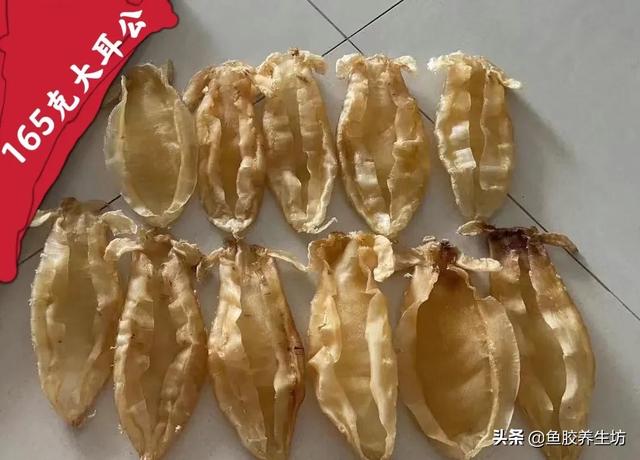 花胶 澳洲 2026年澳洲花胶液有什么好处 花胶 澳洲 2026年澳洲花胶液有什么好处