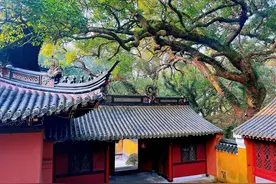 普陀山很灵的，第三次去拜了图片