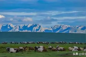 青海2大“尴尬酒”，曾经家喻户晓，如今遭本地人嫌弃图片