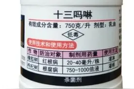 十三吗啉，一种比戊唑醇更高效的杀菌剂，白粉病、根腐病都能治图片