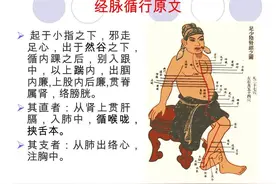 玫子科普：十二经脉，足少阴肾经——活力旺盛的乐观派图片
