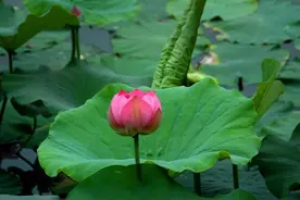 女人“故意”给你机会，会发出这4个暗示，别像傻瓜一样不知道图片