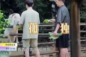 王俊凯王勉上《向往的生活》 看到何炅黄磊背影竟然说出这样的话！图片