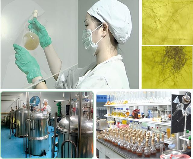 “9030虫草原浆”诚信品牌电视媒体签约会在深圳举行