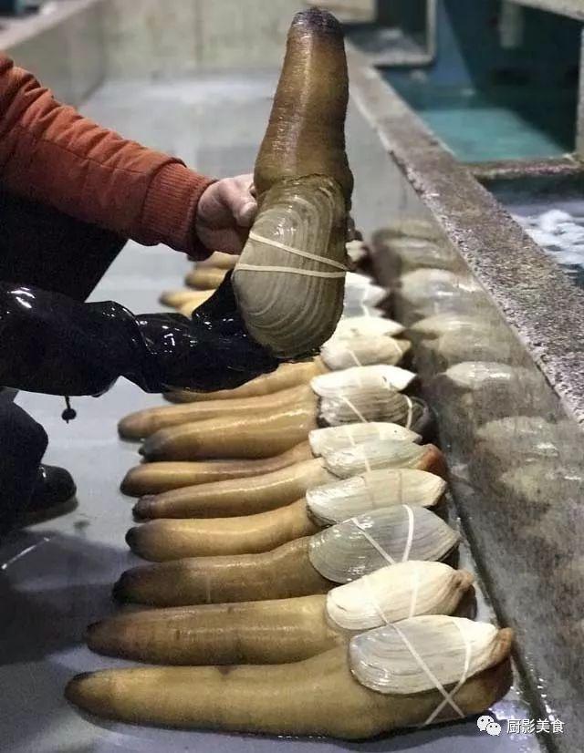 什么海鲜胶原蛋白最多 2025年海鲜含有胶原蛋白吗