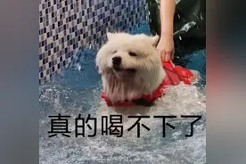 深圳这个月24起溺水事故！教娃1个关键动作自救图片