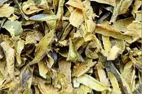 9月，记得晒“3干”，一次性买10斤晒干囤起来，冬天炖肉吃太香了图片