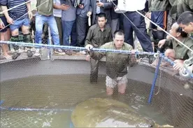 全球只剩2只了！还全都是公的，“中国神兽”怎样才能有效繁殖？图片