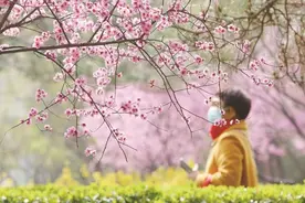春季赏花防过敏 教你几招巧应对图片