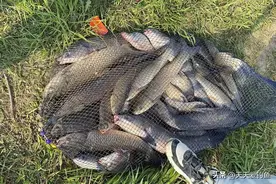 初秋到晚秋野钓，鱼情有5个变化，掌握其中规律，立于不败之地图片