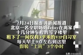 “3000元租自习室假装上班”暴露了多少全职妈妈的精神困境图片