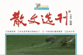 唐老五 || 牙床上的人生图片