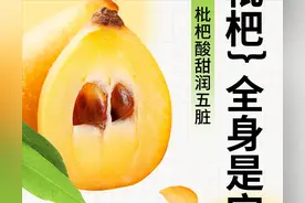 枇杷酸甜润五脏图片