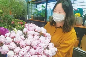 记者走访乌鲁木齐花卉市场 芍药进入销售旺季 受许多市民青睐图片