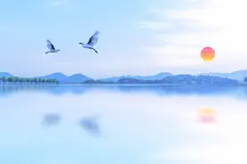 「糖尿病足临床进展」糖尿病足骨髓炎的诊断图片