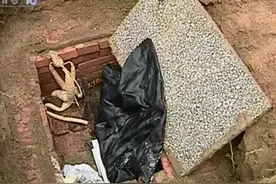 09年男子料理亲戚后事，墓中挖出"人参"，专家鉴定数次发现真相图片