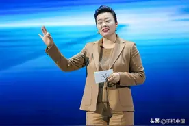 极狐总裁王秋凤因个人原因辞职 品牌已连续亏损两年图片