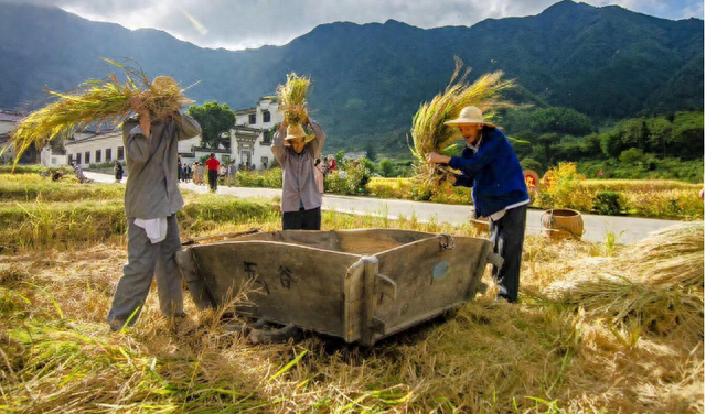中央发话了？活人无耕地，死人却有田，农村土地要打乱重分？