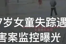 河南7岁女孩遇害，76岁老汉被带走调查，之前镜头前还侃侃而谈图片