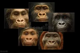 研究发现：人一共有56种性别！怎么判断自己是哪一种？自测一下图片