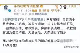 银行女高管到处收养流浪猫，供儿子剥皮虐猫，儿子：专杀怀孕猫图片