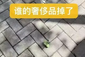 花4万囤出够吃5年的末日食物库，看完想住进去图片