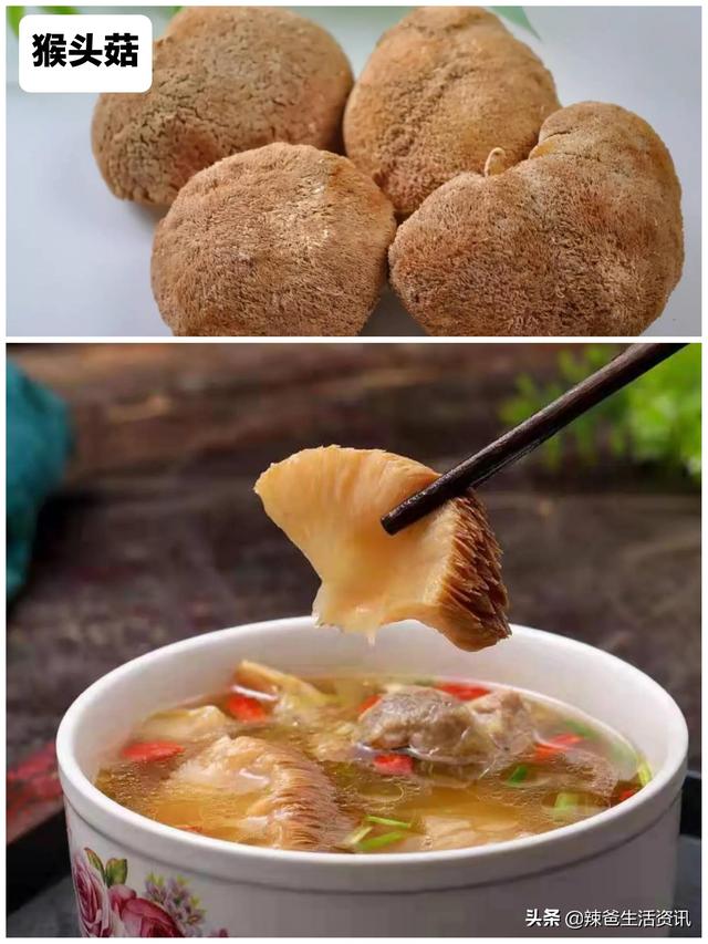 12种“常见的蘑菇”，你都吃过吗？附：经典做法，请收藏
