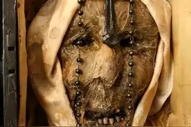 英国神秘生物博物馆的收藏，狼人、圣女、妖精。图片