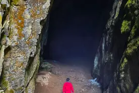 惊奇！神农架原始森林里的巨大秘密，被找到了图片