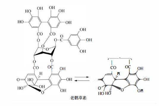 植物功效成分-鞣质