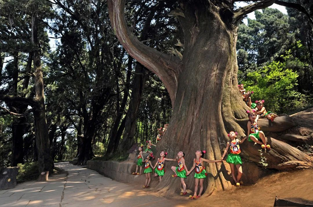 四川省民生研究会新媒体中心-官网