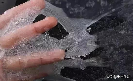 雪燕花胶孕妇可以吃吗 2025年孕妇能吃雪燕胶吗