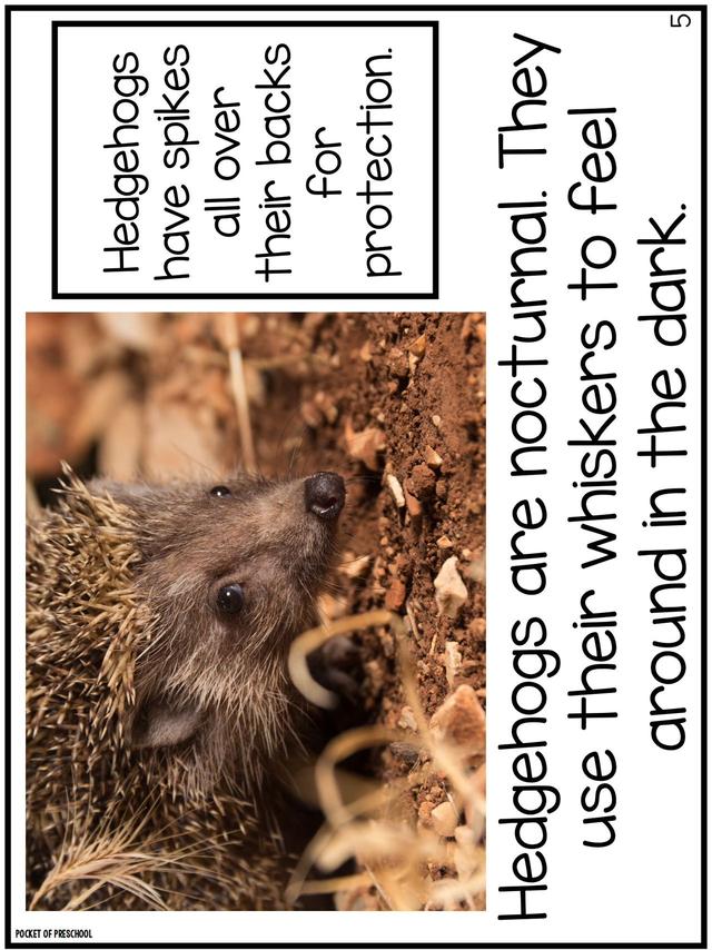 С��ѧ��̽��ϵ��֮ҹ�ж������׻�زİ�