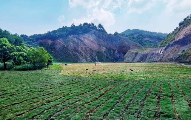 柳叶湖建区30周年回眸｜从绿水青山到金山银山的蝶变之路(图47)