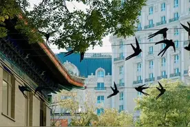 北京这些胡同名 奇怪奇怪真奇怪图片