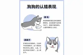 狗狗认错表现！不要再误会它了图片